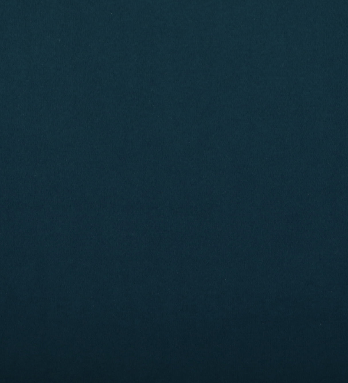 BOLT Upholstered Ottoman Bench With Storage - 12 Months Warranty(Teal Color)