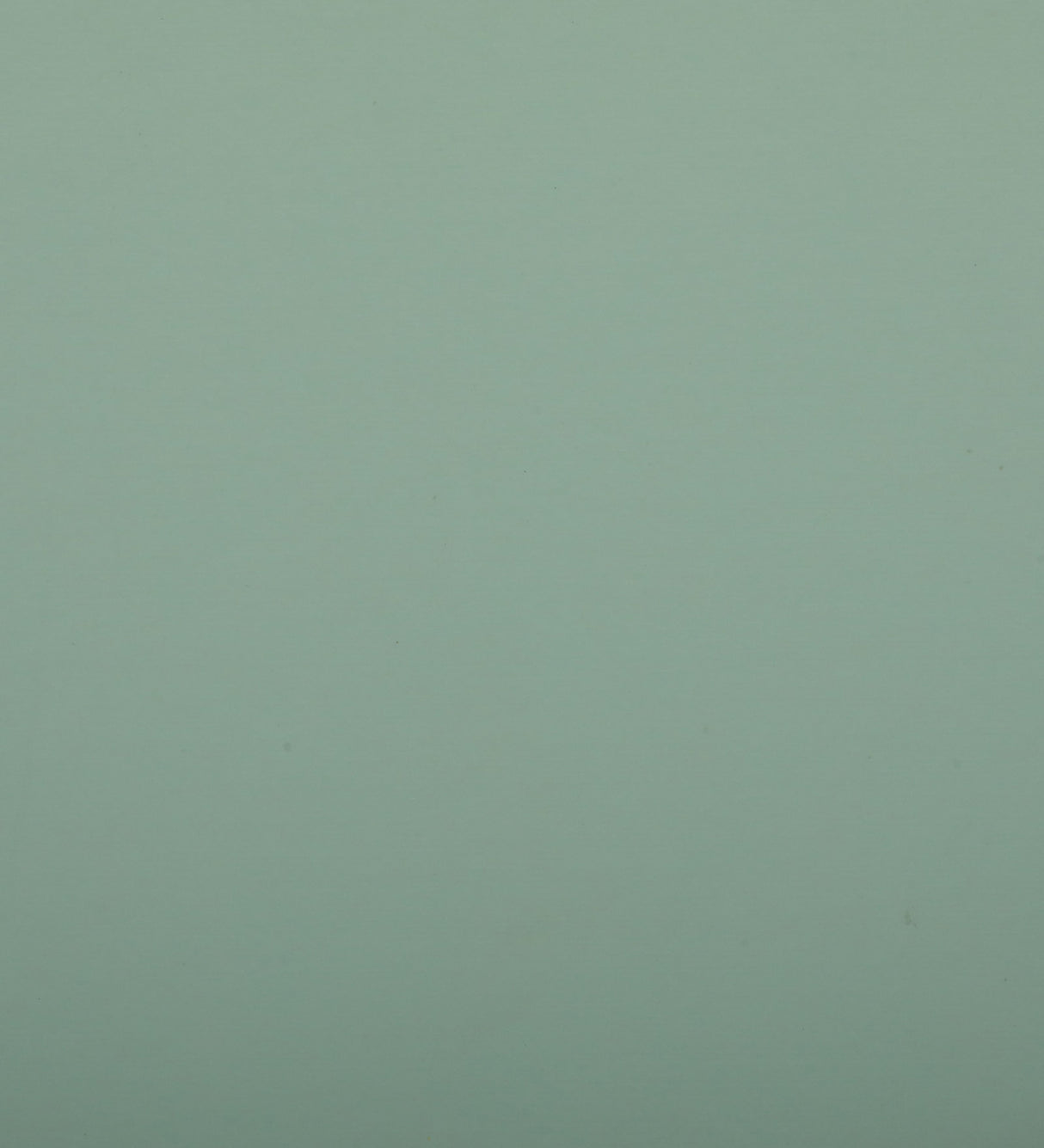 ROMAN Upholstered Ottoman Bench With Storage - 12 Months Warranty(Oasis)