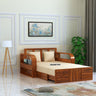 Scott Solid Sheesham Wood 2 Seater Sofa Cum Bed With Mini Storage - 3 Years Warranty