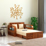 Scott Solid Sheesham Wood 2 Seater Sofa Cum Bed With Headboard and Mini Storage - 3 Years Warranty