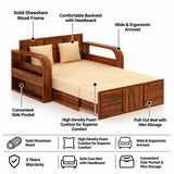 Scott Solid Sheesham Wood 2 Seater Sofa Cum Bed With Headboard and Mini Storage - 3 Years Warranty