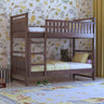 Swift Solid Sheesham Wood Bunk Bed Without Storage - 3 years Warranty