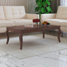 JORDAN Solid Sheesham Wood Coffee Table - 3 Years Warranty
