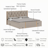 Archer Upholstered Bed With Box Storage - 12 Months Warranty(LUXE EDITION)