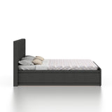 Archer Upholstered Bed With Box Storage - 12 Months Warranty(LUXE EDITION)