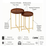 Tray Solid Sheesham Wood End Table With Iron Stand - 3 Years Warranty
