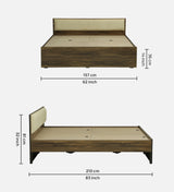ALLEN Engineered Wood Bed Without Storage and Upholstered Headboard (Walnut) - 12 Months Warranty