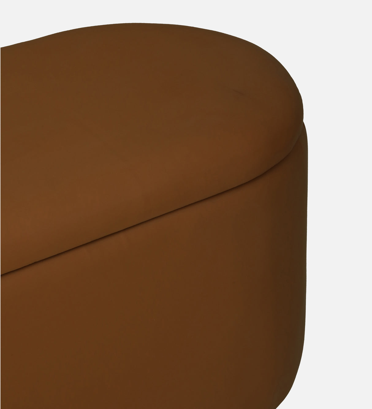 ROMAN Upholstered Ottoman Bench With Storage - 12 Months Warranty(Camel Brown)