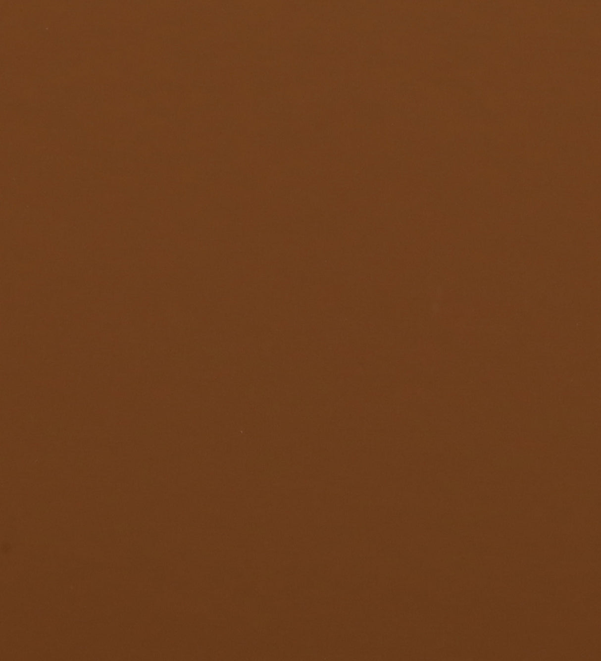 ROMAN Upholstered Ottoman Bench With Storage - 12 Months Warranty(Camel Brown)