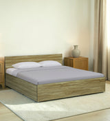 CARPER Engineered Wood Bed with Box Storage (STONE) - 12 Months Warranty