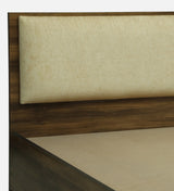 ALLEN Engineered Wood Bed Without Storage and Upholstered Headboard (Walnut) - 12 Months Warranty