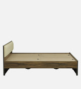 ALLEN Engineered Wood Bed Without Storage and Upholstered Headboard (Walnut) - 12 Months Warranty