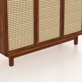 Cosmos Solid Sheesham Wood Shoe Rack With three Doors and Two Drawer 3 - Year Warranty