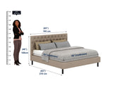 Fabrio Upholstered Without Storage Bed-3 years Warranty(LUXE EDITION)