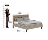 Fabrio Upholstered Without Storage Bed-3 years Warranty(LUXE EDITION)