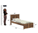 Scott Solid Sheesham Wood Single Bed  - 3 years Warranty
