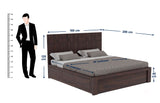 Hexa Solid Sheesham Wood Bed with Box Storage - 1 Year Warranty