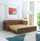 Sofa Cum Beds